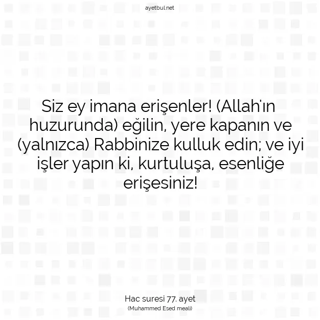 Ayetbul | Kuran Mealleri | Quran | Hac suresi 77. ayet