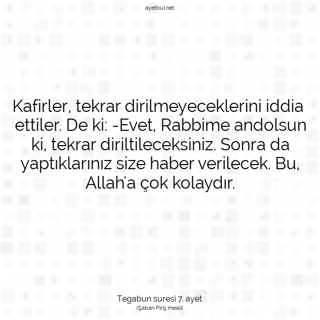 Ayetbul | Kuran Mealleri | Quran | Tegabun suresi 7. ayet