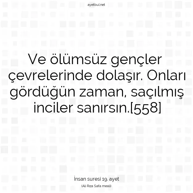 Ayetbul | Kuran Mealleri | Quran | İnsan suresi 19. ayet