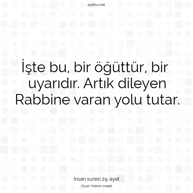 Ayetbul | Kuran Mealleri | Quran | İnsan suresi 29. ayet